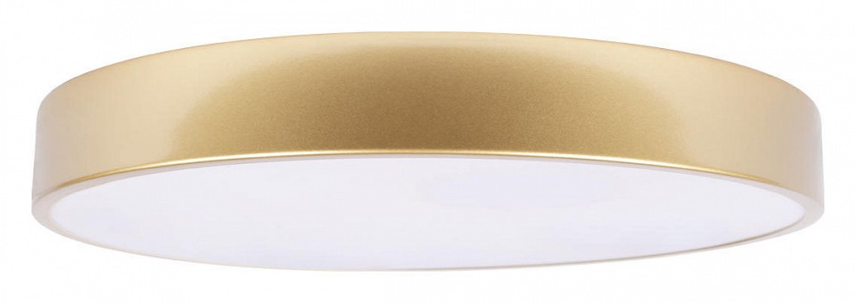 Накладной светильник Loft it Flims 10228/A